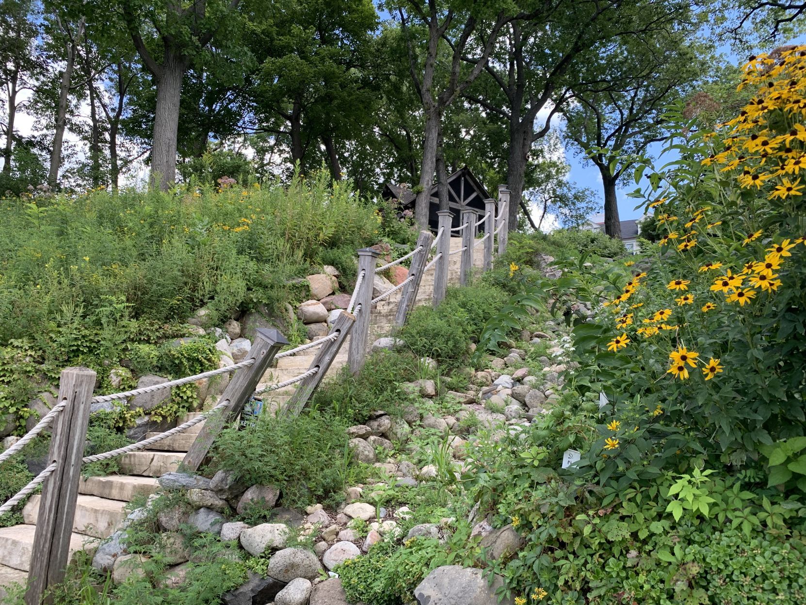 Wonderful steps